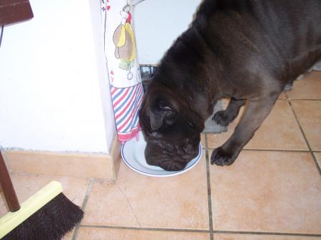  manger